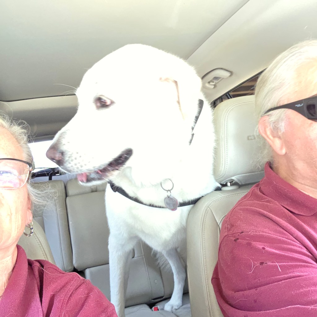 Kids Share Love With Holly’s Comfort&nbsp;Crew