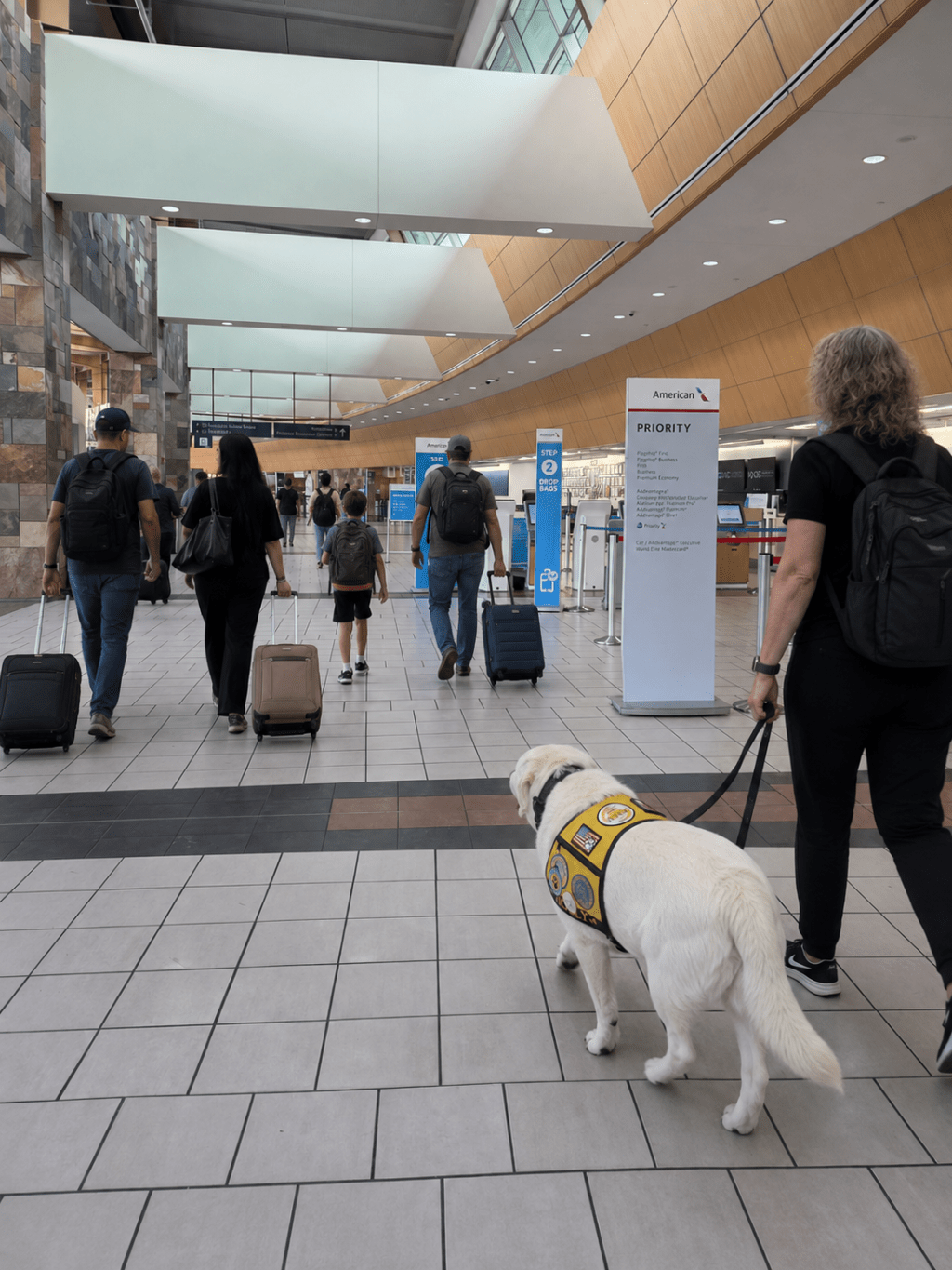 Holly the Airport Dog: Spreading Smiles and&nbsp;Comfort
