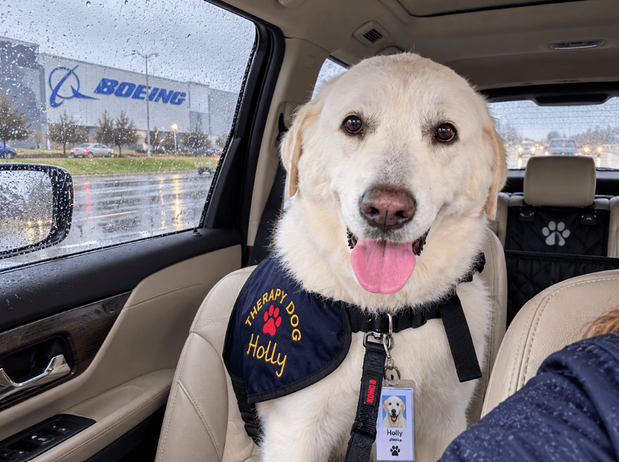 Holly’s Boeing Adventure: QA Auditors, Big Dogs & Halloween&nbsp;Prep